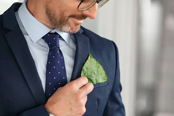 Handsome mature business man in formal clothing touching green leaf in coat pocket. Businessman holding a fresh green leaf representing a natural job in defense of a green environment. Green energy, ESG, renewable and sustainable resources. Environme