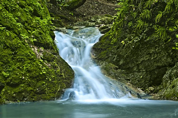 Cachoeira — Fotografia de Stock