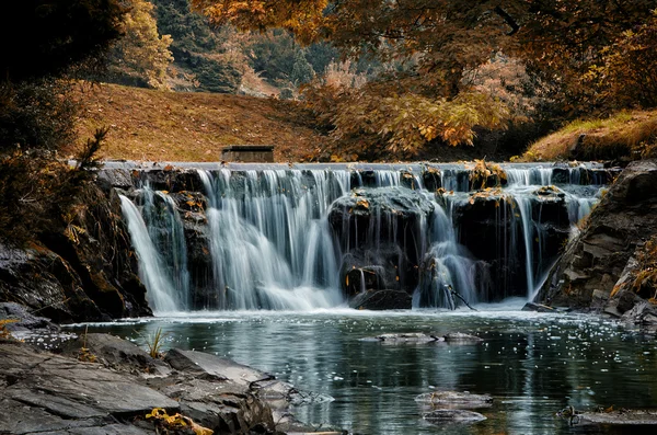 Cachoeira de outono — Fotografia de Stock