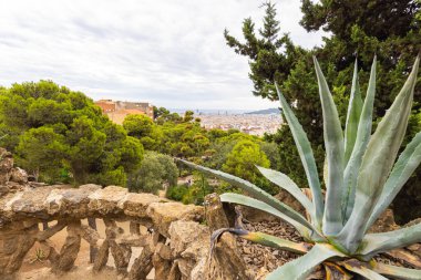 Barcelona, İspanya - 22 Eylül 2021: The Parc Guell, La Salut, Carmel Hill. Antoni Gaudi tarafından yaratılan mimari özellikler, ünlü bir mimar ve Katalan 'ın yüzü. Kaktüs çiçeği