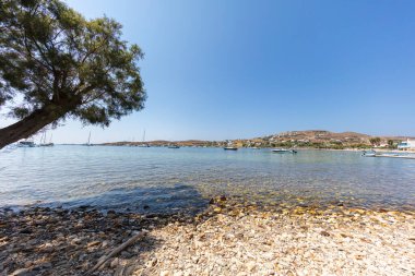 Paros 'un sahil tarafında. Livadia Sahili, Paros Adası, Yunanistan. Körfez feribot limanına yakındır. Kristal berrak suyla Rocky Sahili. Paros sahilinin panoramik manzarası. Çam ağacı gölge sağlar