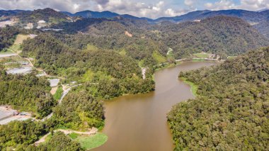 Cameron Highlands, Malezya 'da şelale. Su kayalardan küçük bir nehre yuvarlanıyor. Malezya ormanlarında gezginler için yiyecek. Yağmur ormanı deresi, sık ormanların arasında.