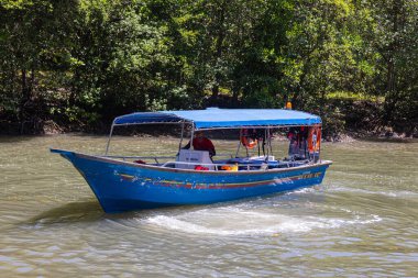 Langkawi, Malezya - 6 Haziran 2022: Malezya adası Langkawi 'deki mangrov ormanında turist botu. Mangrove orman tekne gezisi Malezya adasında turistik bir eğlencedir. Tropikal nehirde bir tekne