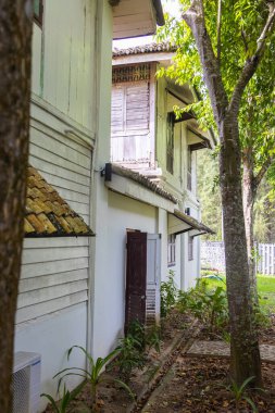 Langkawi, Malezya - 7 Haziran 2022: Tropikal bitki örtüsü arasında geleneksel Malay ahşap evi. Tipik Malezya stilt evi. Odun mimarisi tropikal iklimdeki evi serinletir. Asya kültürü