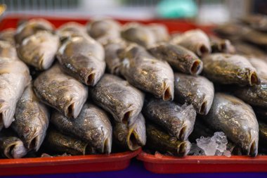 Malezya, Kuala Lumpur 'da bir balıkçının tezgahında taze balık yakalandı. Sabahtan akşama kadar taze taze taze satılır. Sokak pazarları denizlerin tüm hazinelerini sunar.