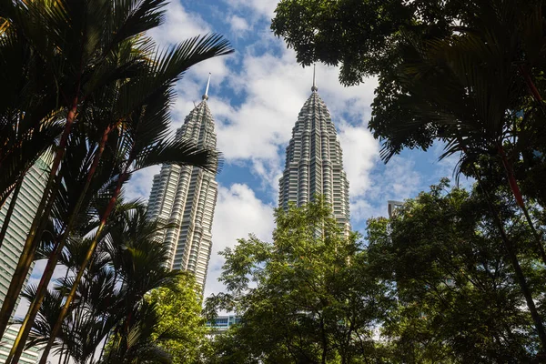 Kuala Lumpur Malaysia August 2022 View Twin Towers Palm Trees — Foto de Stock