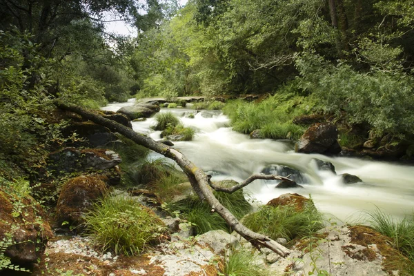 Umia River rapid in Caldas, Spain — Stock Photo, Image