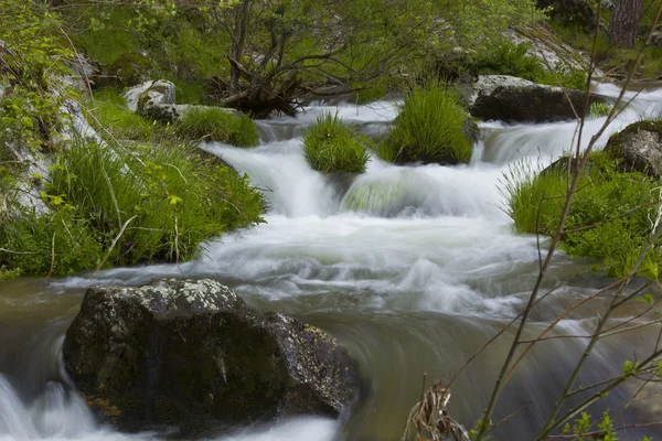 River stream in Madrid, Spain — Stock Photo, Image