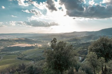 Beautiful view of Tuscany landscape and landmarks. Grapes fields and olive oil. From Montalcino to Montepulciano to Siena. Summer in Italy