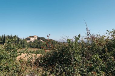 Beautiful view of Tuscany landscape and landmarks. Grapes fields and olive oil. From Montalcino to Montepulciano to Siena. Summer in Italy