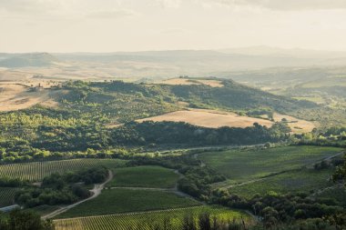 Beautiful view of Tuscany landscape and landmarks. Grapes fields and olive oil. From Montalcino to Montepulciano to Siena. Summer in Italy