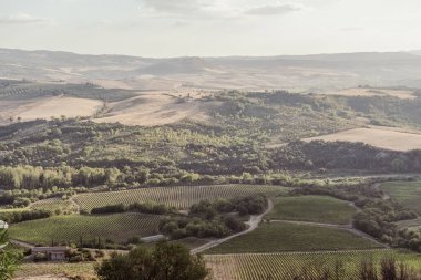 Beautiful view of Tuscany landscape and landmarks. Grapes fields and olive oil. From Montalcino to Montepulciano to Siena. Summer in Italy