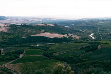 Beautiful view of Tuscany landscape and landmarks. Grapes fields and olive oil. From Montalcino to Montepulciano to Siena. Summer in Italy