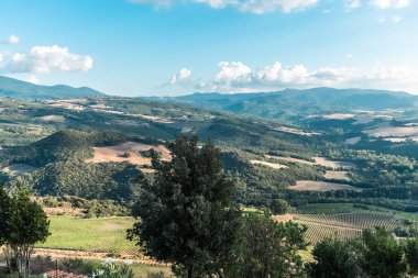 Beautiful view of Tuscany landscape and landmarks. Grapes fields and olive oil. From Montalcino to Montepulciano to Siena. Summer in Italy