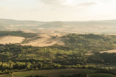 Beautiful view of Tuscany landscape and landmarks. Grapes fields and olive oil. From Montalcino to Montepulciano to Siena. Summer in Italy