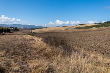 Beautiful view of Tuscany landscape and landmarks. Grapes fields and olive oil. From Montalcino to Montepulciano to Siena. Summer in Italy