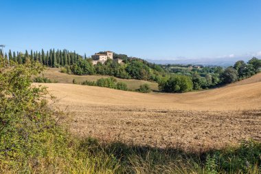 Beautiful view of Tuscany landscape and landmarks. Grapes fields and olive oil. From Montalcino to Montepulciano to Siena. Summer in Italy