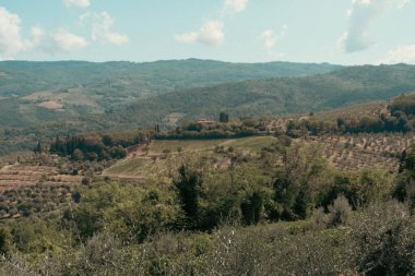 Chianti şehrindeki Panzano manzarası. Tuscany 'deki üzüm tarlalarıyla dolu bu güzel kasabanın mimarisi ve simgeleri. Chianti şarabının yapıldığı yer..