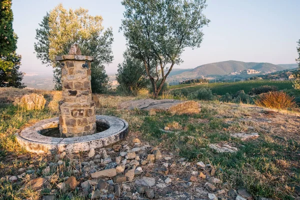 Piękny Widok Toskanię Brunello Montalcino Wina Wypełnione Castello Velona Letni — Zdjęcie stockowe