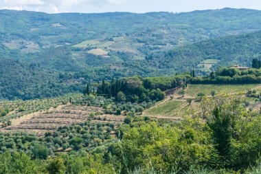 Chianti şehrindeki Panzano manzarası. Tuscany 'deki üzüm tarlalarıyla dolu bu güzel kasabanın mimarisi ve simgeleri. Chianti şarabının yapıldığı yer..