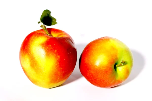 Dos manzanas rojas y amarillas — Foto de Stock