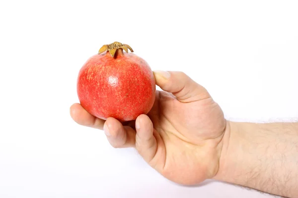 Pomegranate In his hand men — Stock Photo, Image