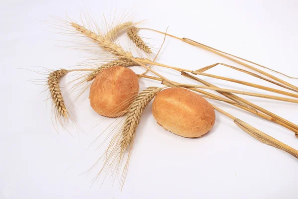 Bun ve SAP buğday ekmek — Stok fotoğraf