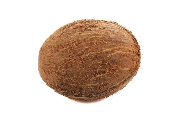 Coconut — Stock Photo, Image