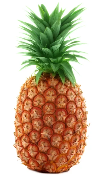 Ananas — Zdjęcie stockowe