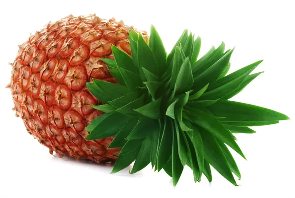 Ananas — Stockfoto