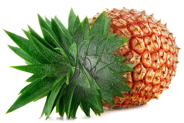 Ananas — Foto Stock