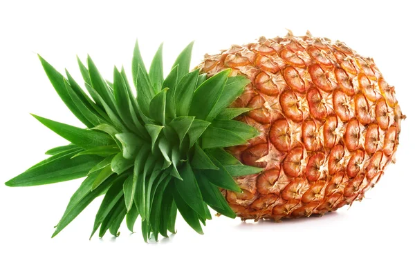 Ananas — Zdjęcie stockowe