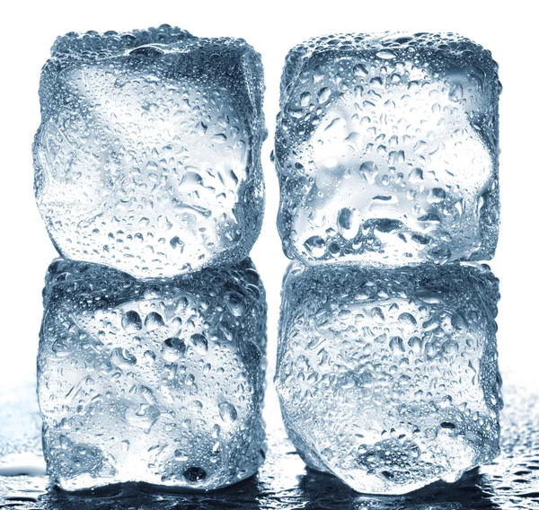 Cubes de glace — Photo