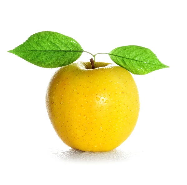 Fresh and wet yellow apple — Stock Photo, Image
