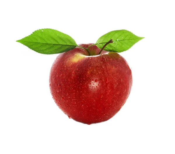 Äpple — Stockfoto