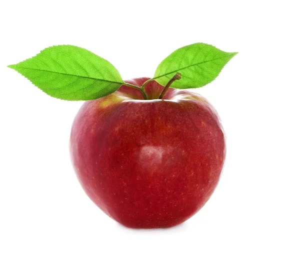 Äpple — Stockfoto