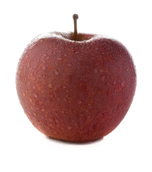 Fräsch och våta rött rosa äpple — Stockfoto