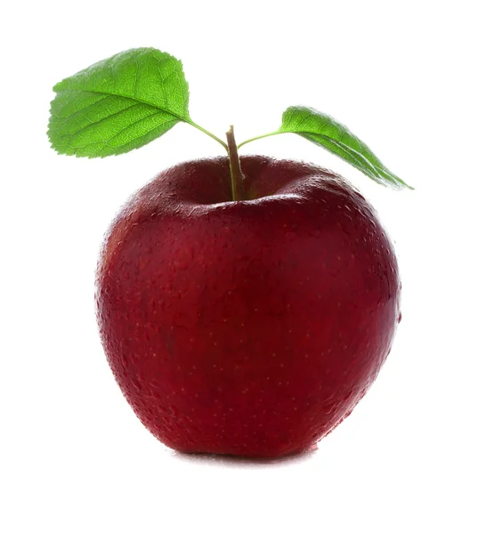 แอปเปิ้ลสีชมพูสีแดงสดและเปียก — ภาพถ่ายสต็อก