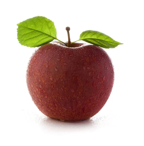 Fresh and wet red apple — Stock Photo, Image