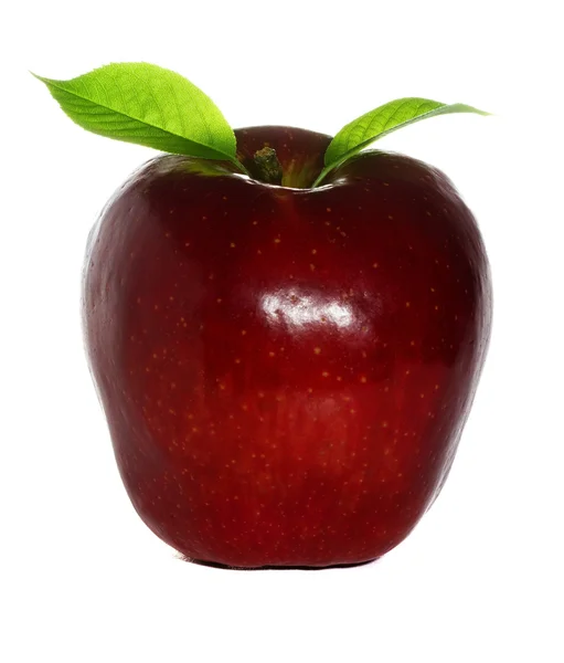 Ripe red and fresh apple — Stock Photo, Image