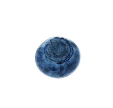 yaban mersini, yaban mersini