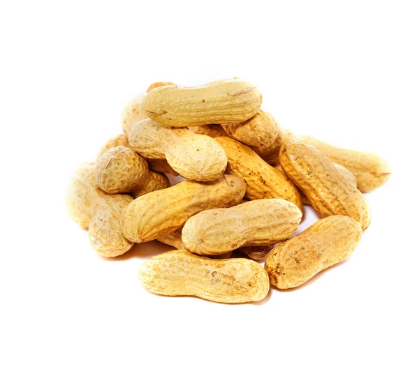 Peanuts in shell — Stock Photo, Image