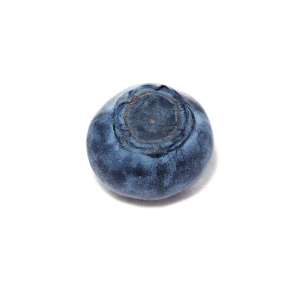 Blueberry, blueberry — Stok Foto