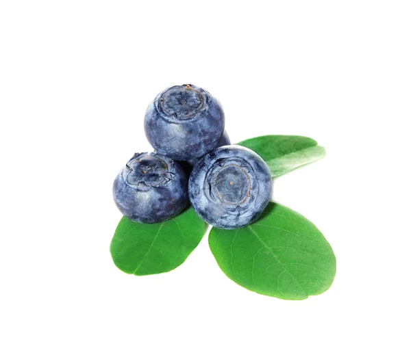 Blueberries, blueberry — Stock Photo, Image