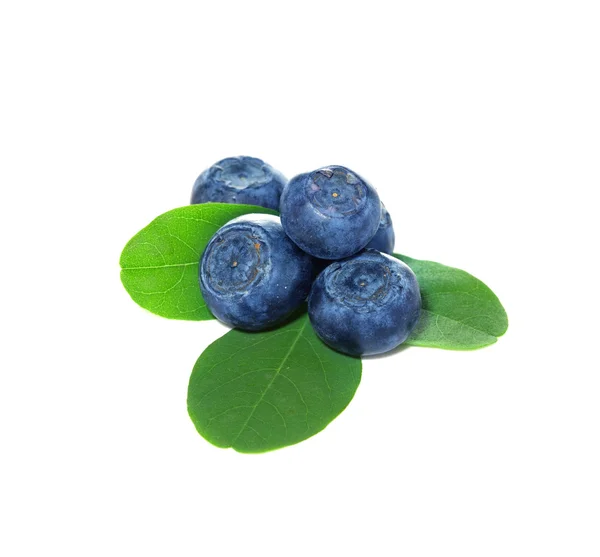 Blueberries, blueberry — Stock Photo, Image