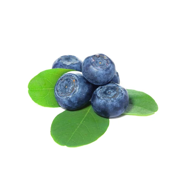 Blueberries, blueberry — Stock Photo, Image