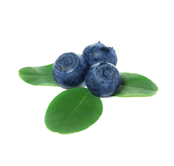 Blueberries, blueberry — Stock Photo, Image