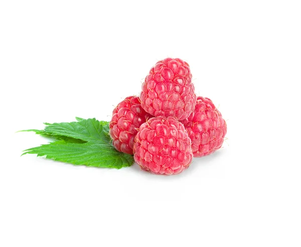 Ripe raspberry — Stock Photo, Image
