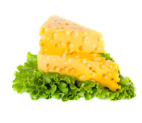 Cheese — Stock Photo, Image