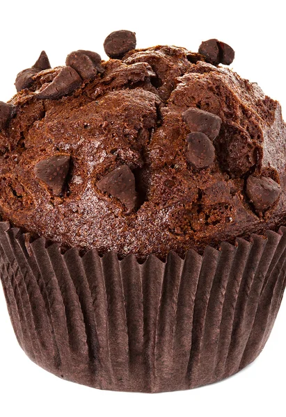 Muffin chocolade — Stockfoto